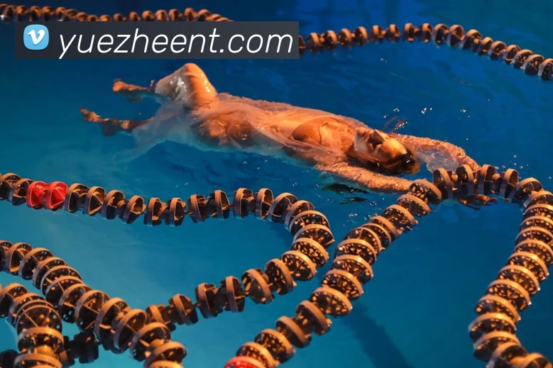 世界杯官网登录app品牌故事